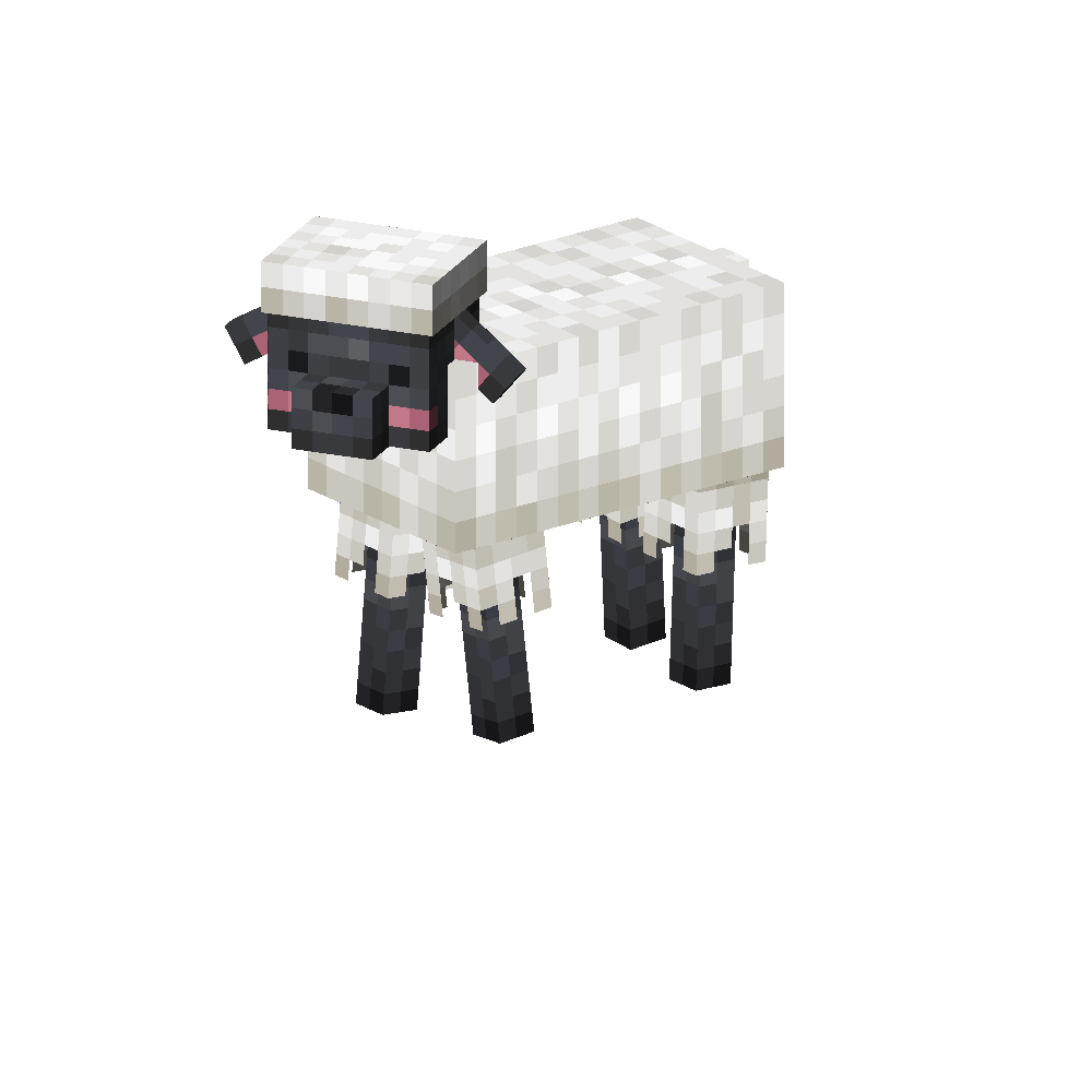 Alpine Sheep