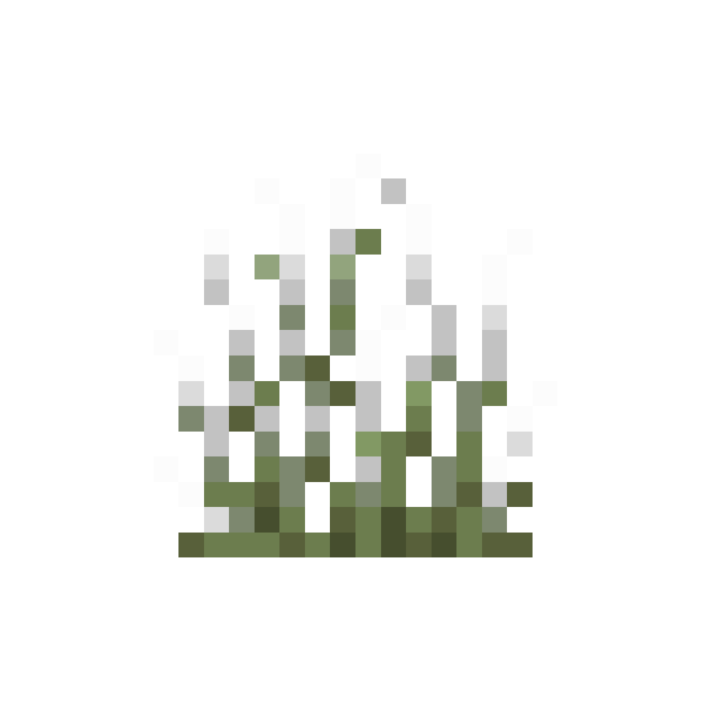 Hoarfrost Grass