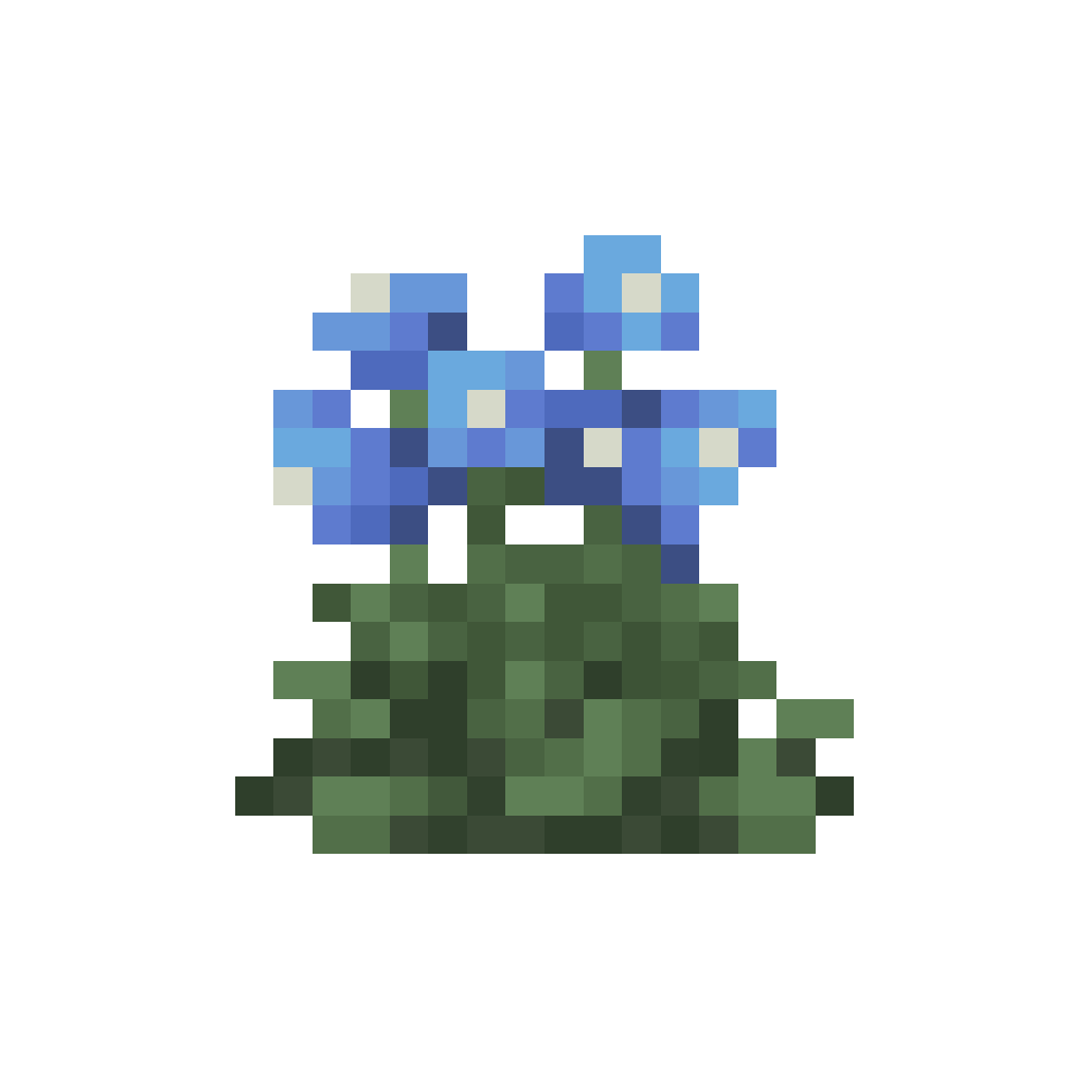 Snow Gentian