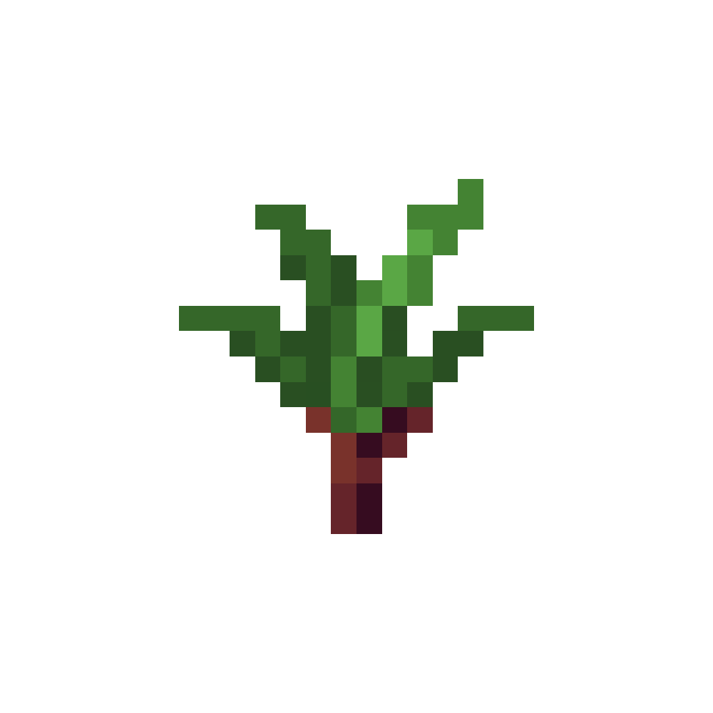 Palm Trees