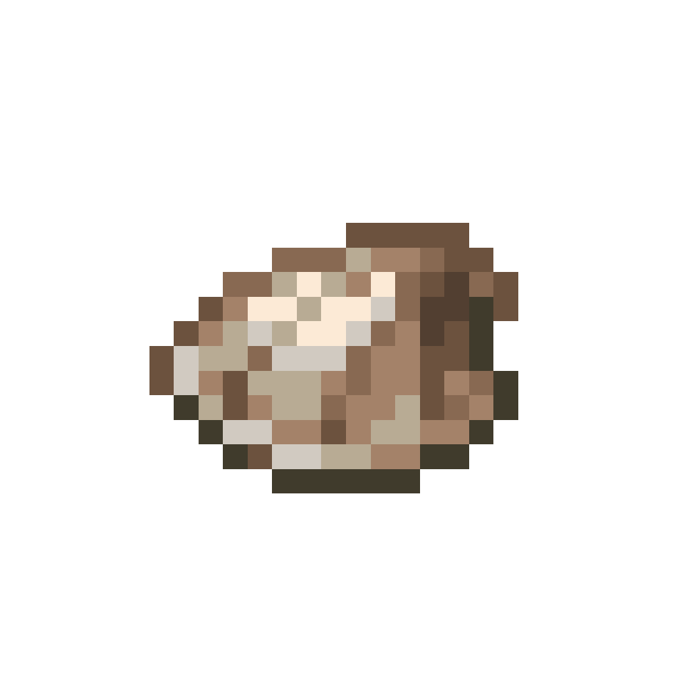 Seashells