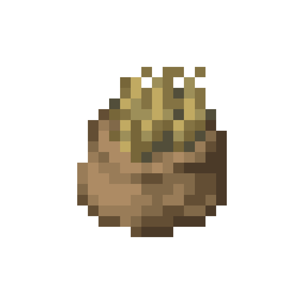 Dried Wheat