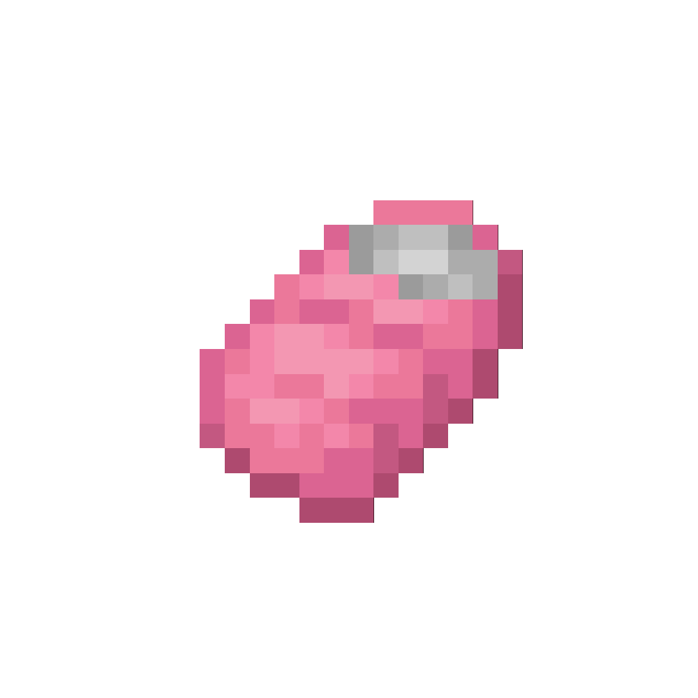 Pink Sleeping Bag
