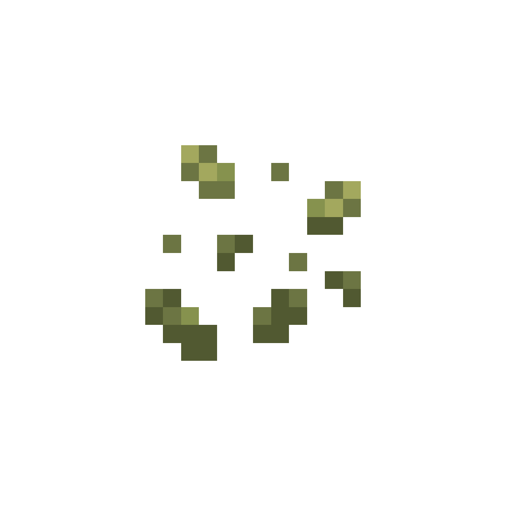 Barley Seeds