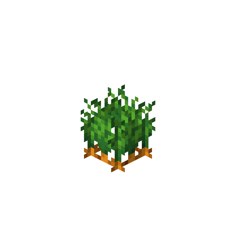 Carrot Crop