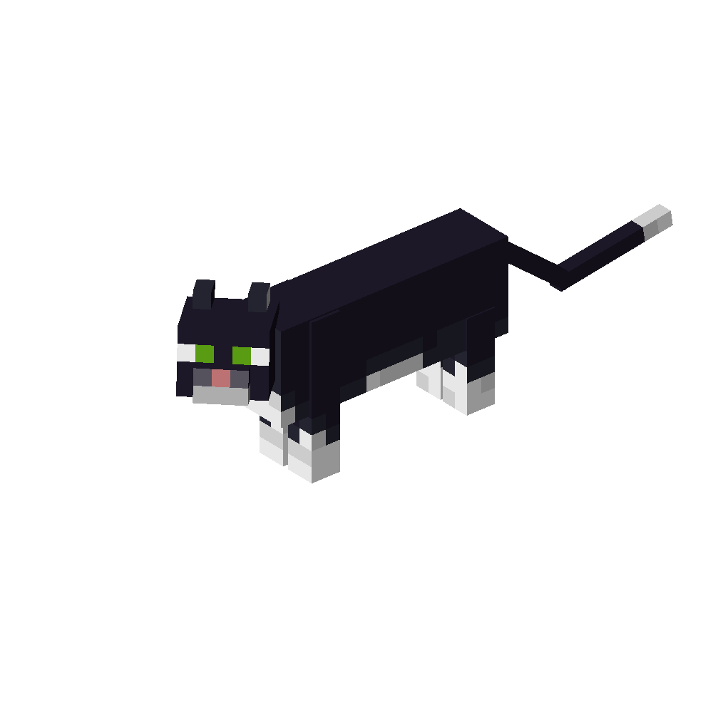 Cats