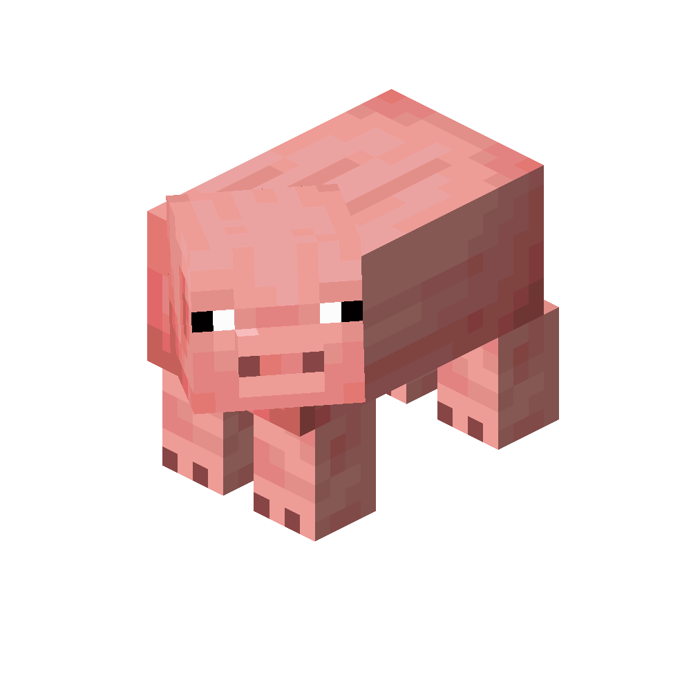 Pigs