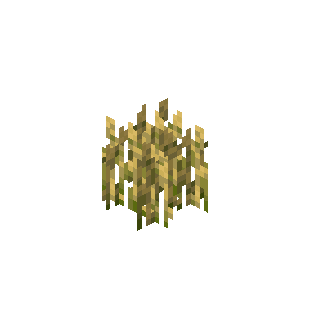 Wheat Crop