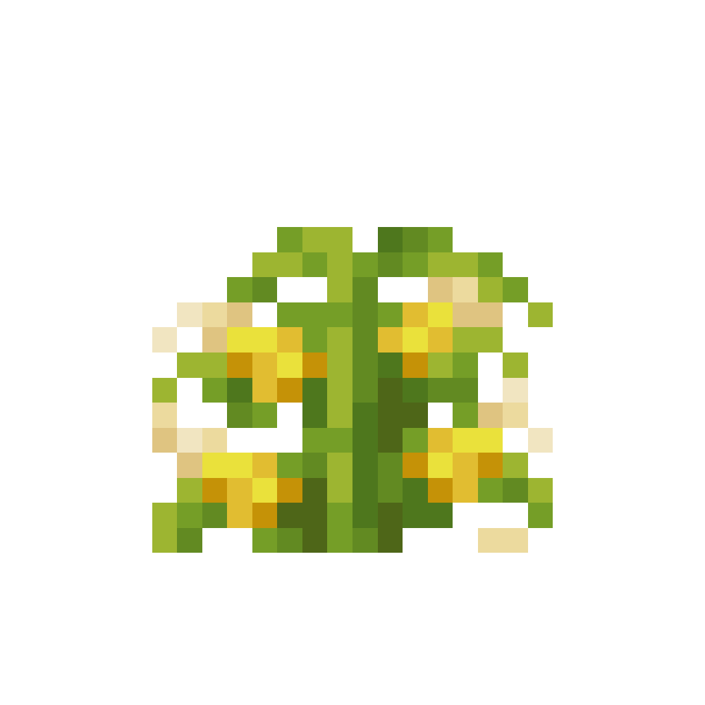 Corn