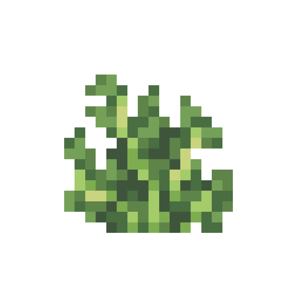 Lettuce
