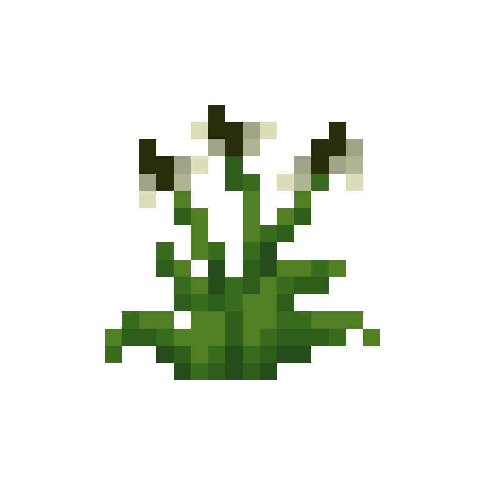 Wild Ribwort