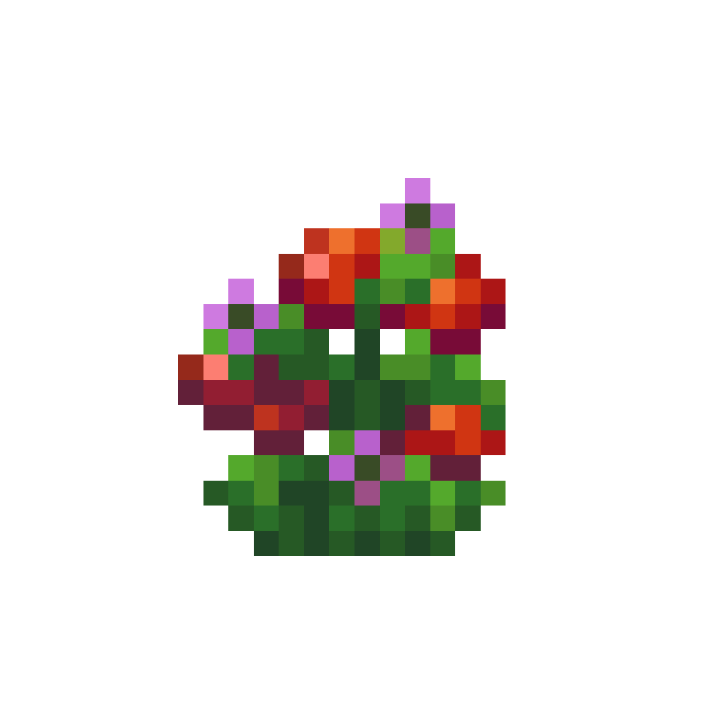 Tomato