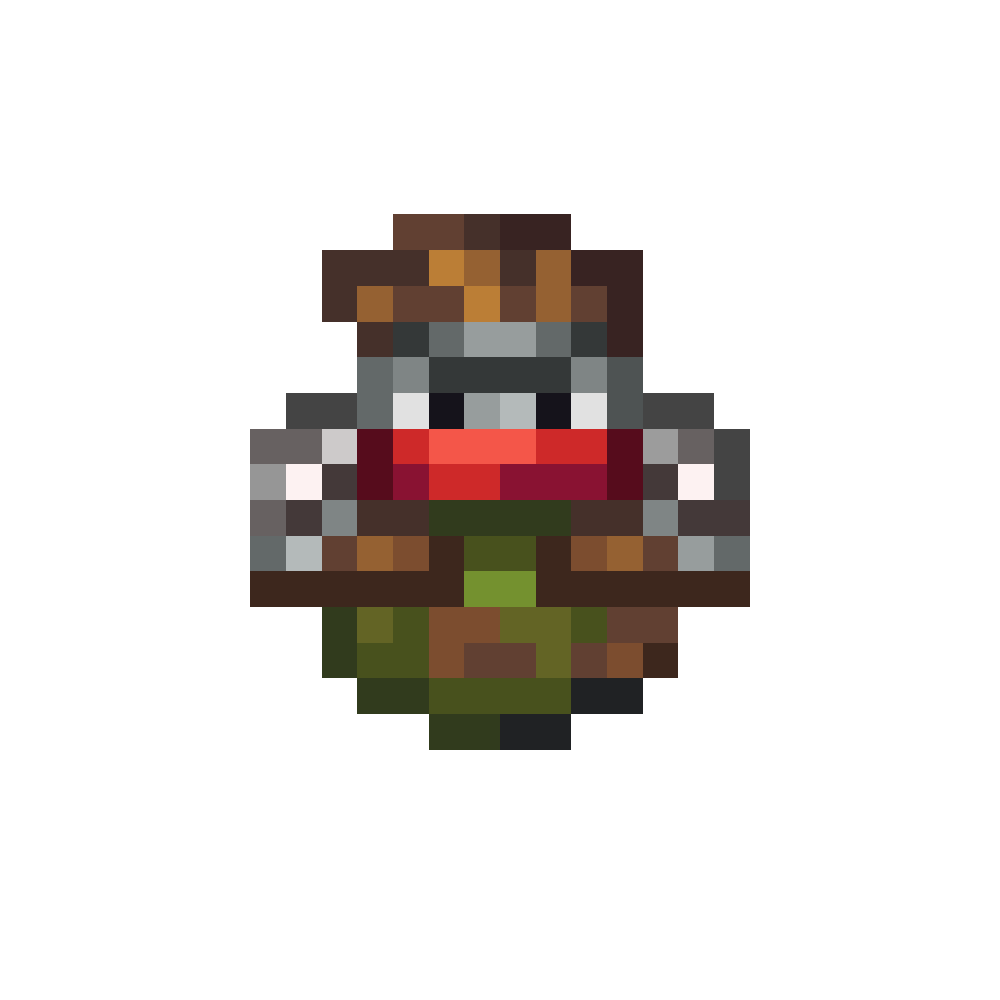 Raider