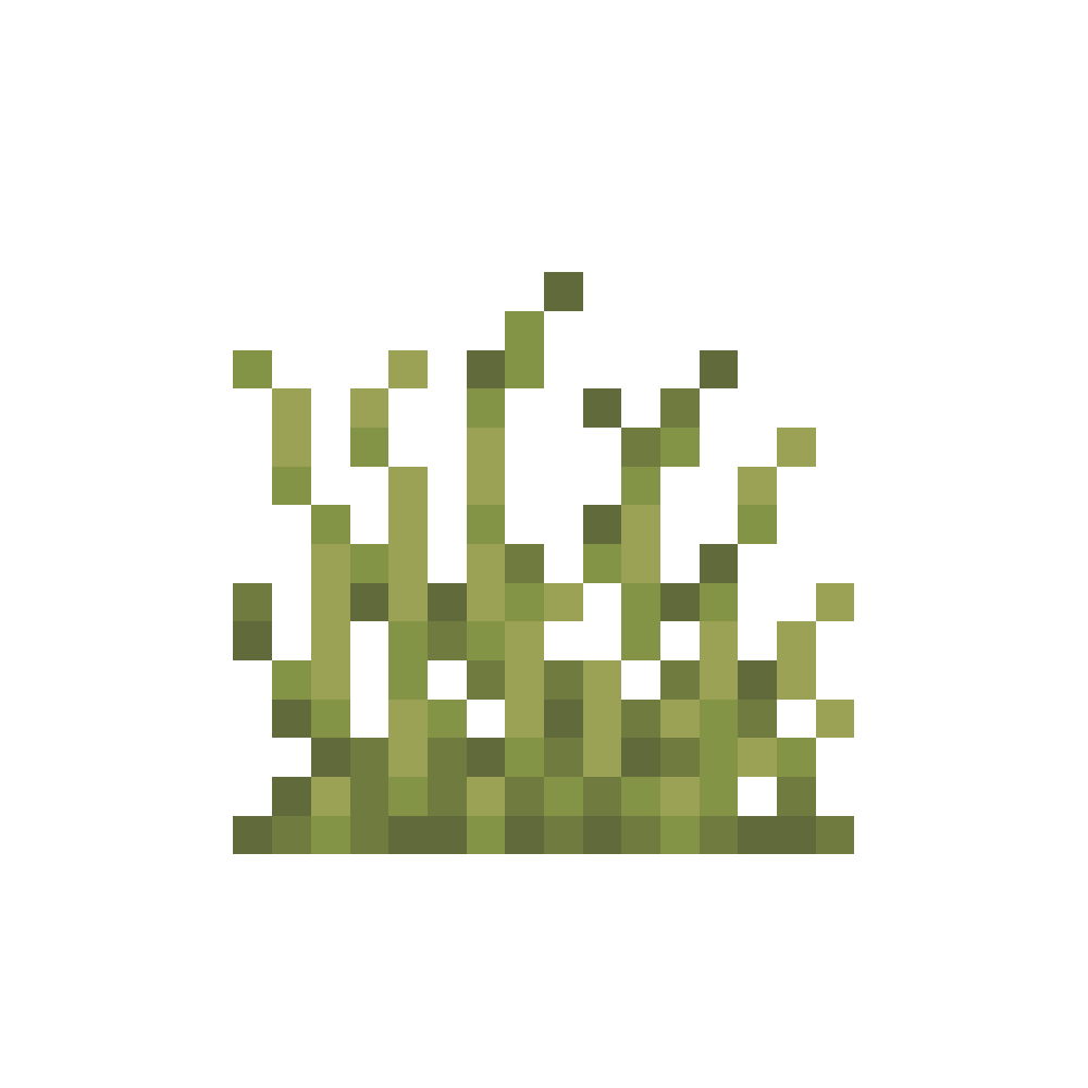 Prairie Grasses