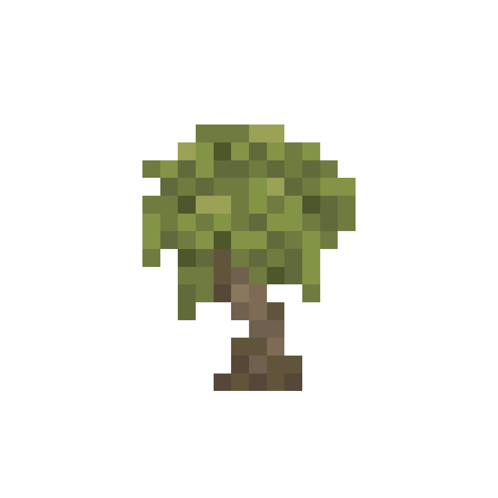 Mesquite Tree