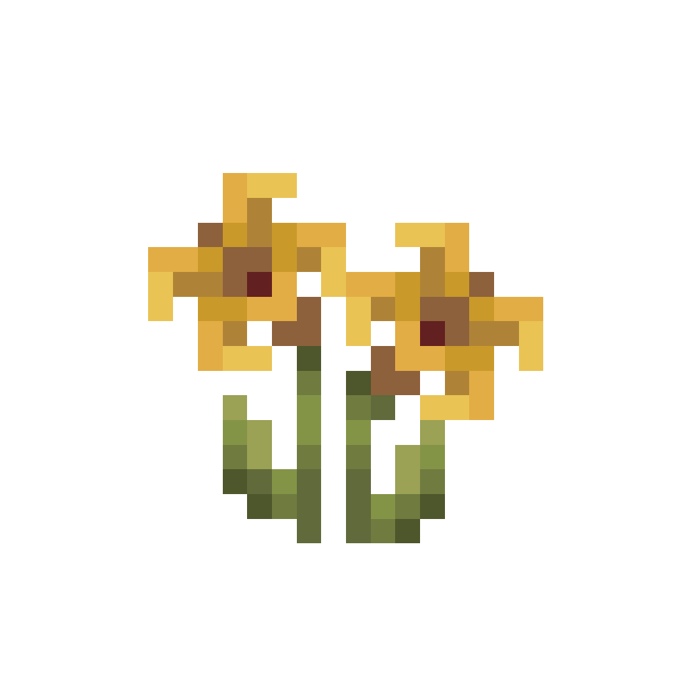 Strawflower