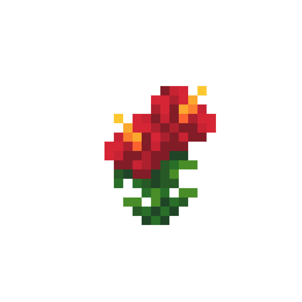 Hibiscus