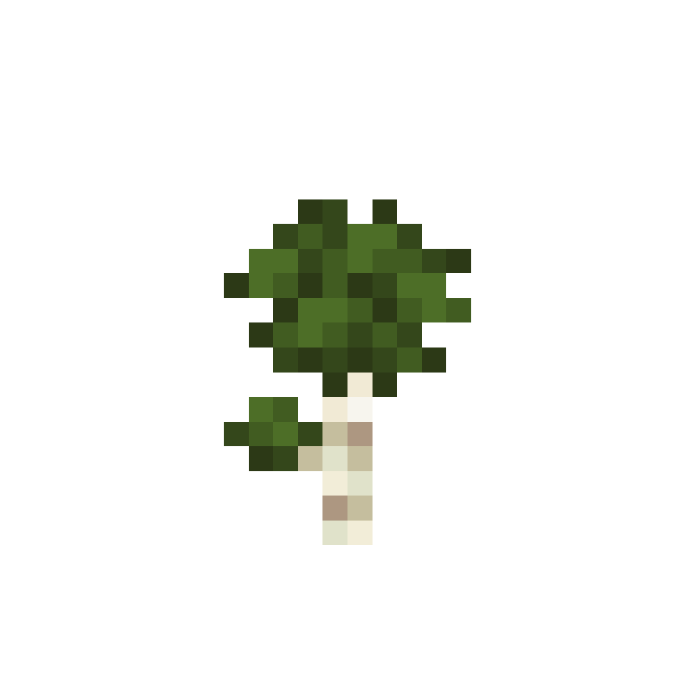 Alpine Birch