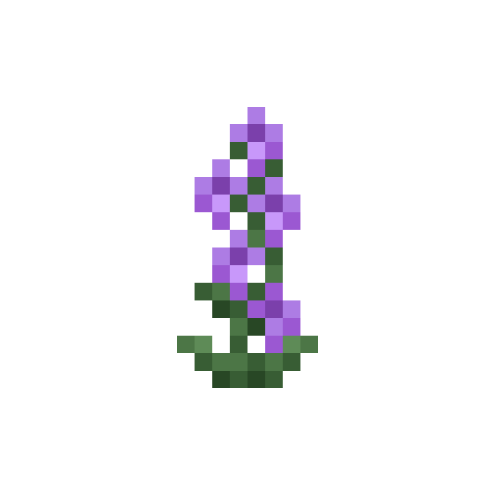 Delphinium