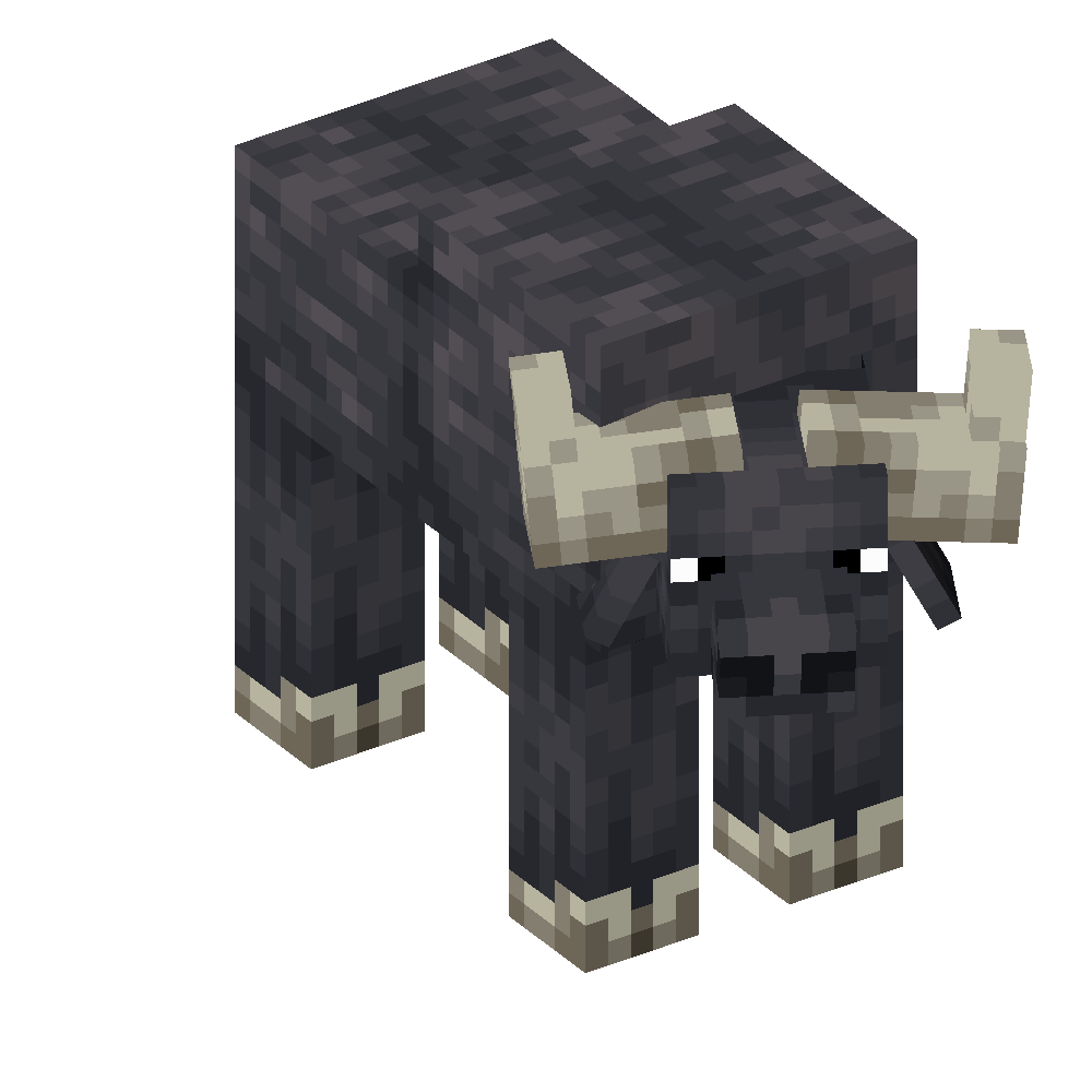 Water Buffalo