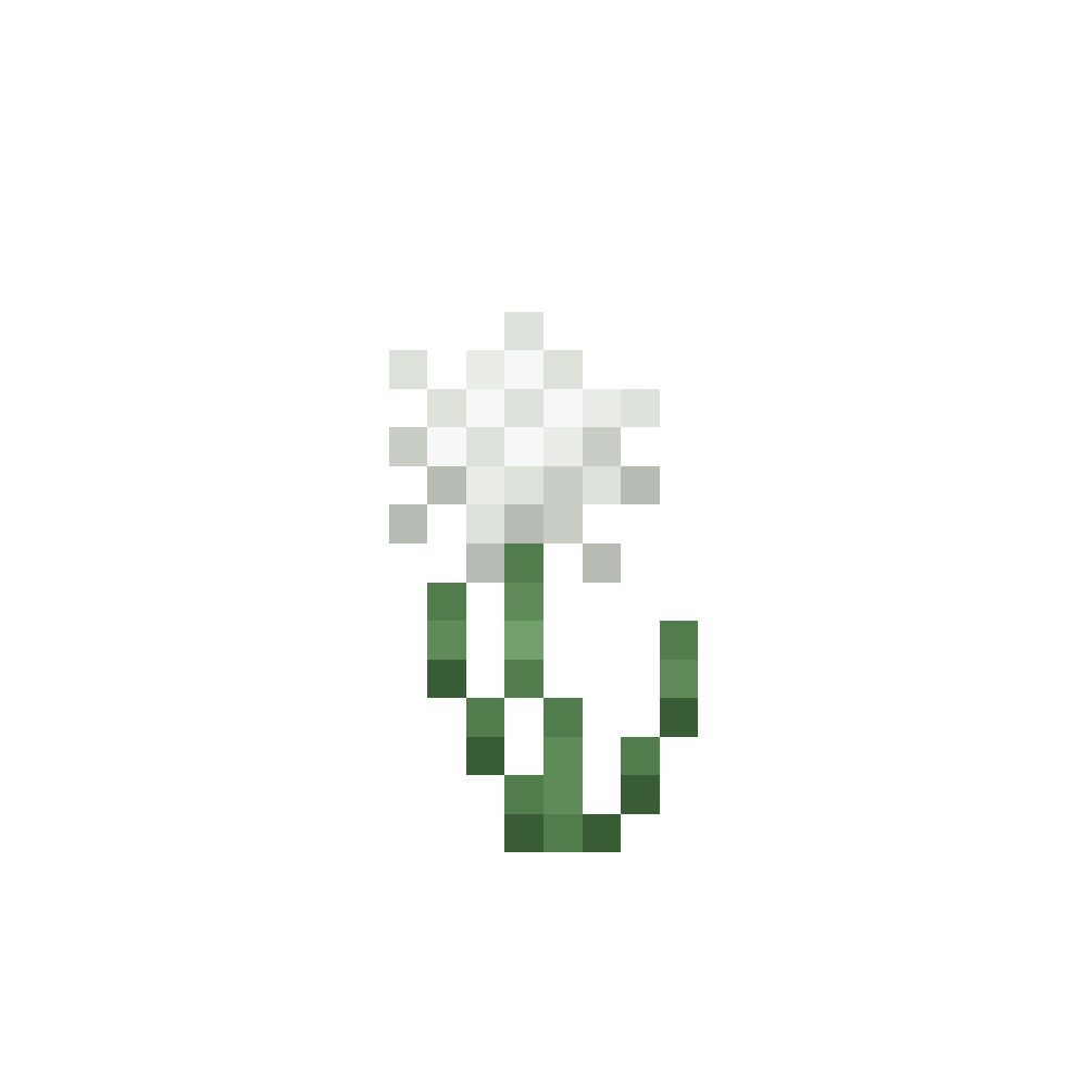 Eriophorum
