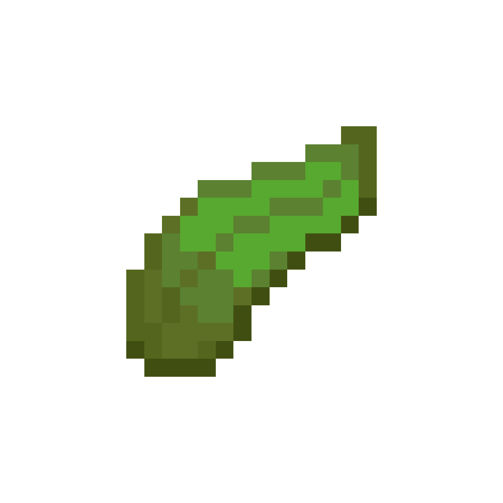 Kelp