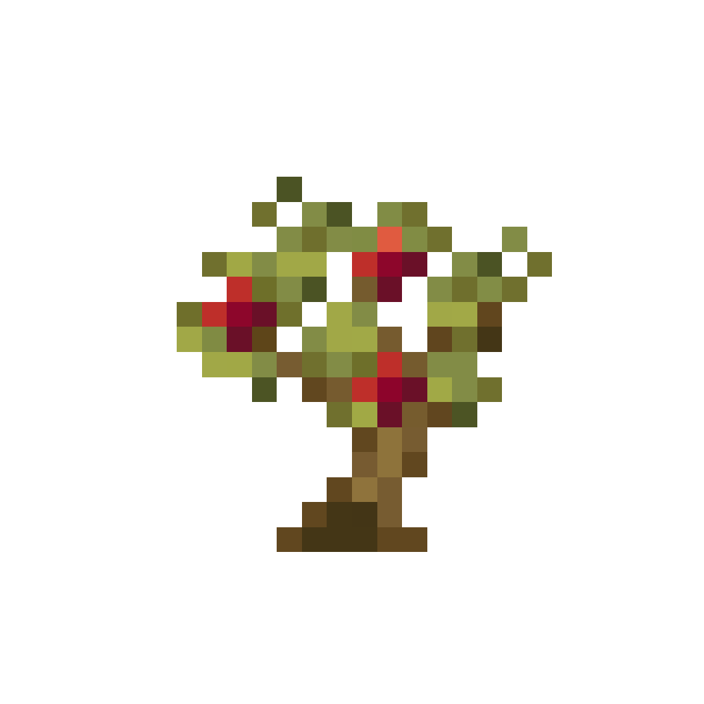 Apple Tree Sapling