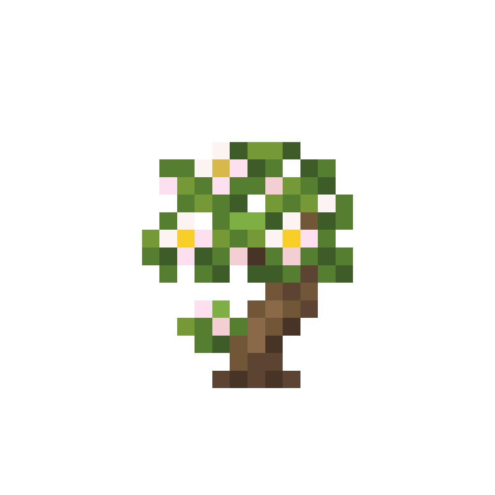Dark Cherry Sapling