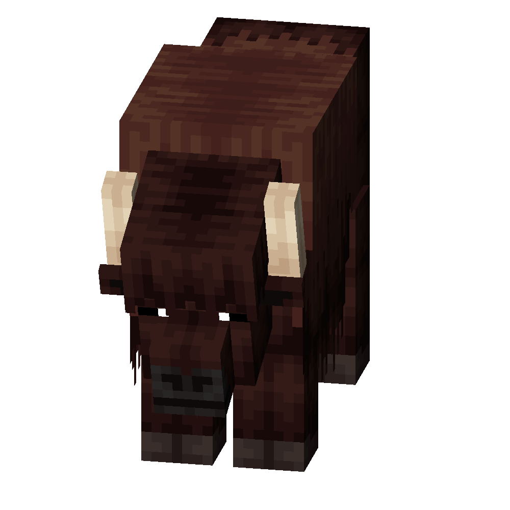Bison