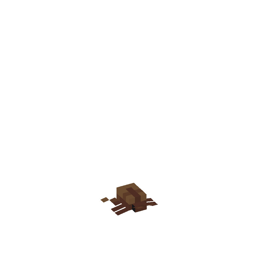Termite