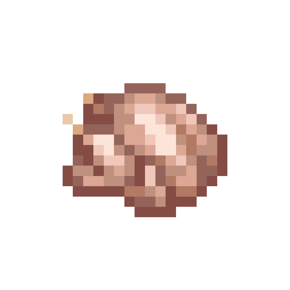 Turkey Meat