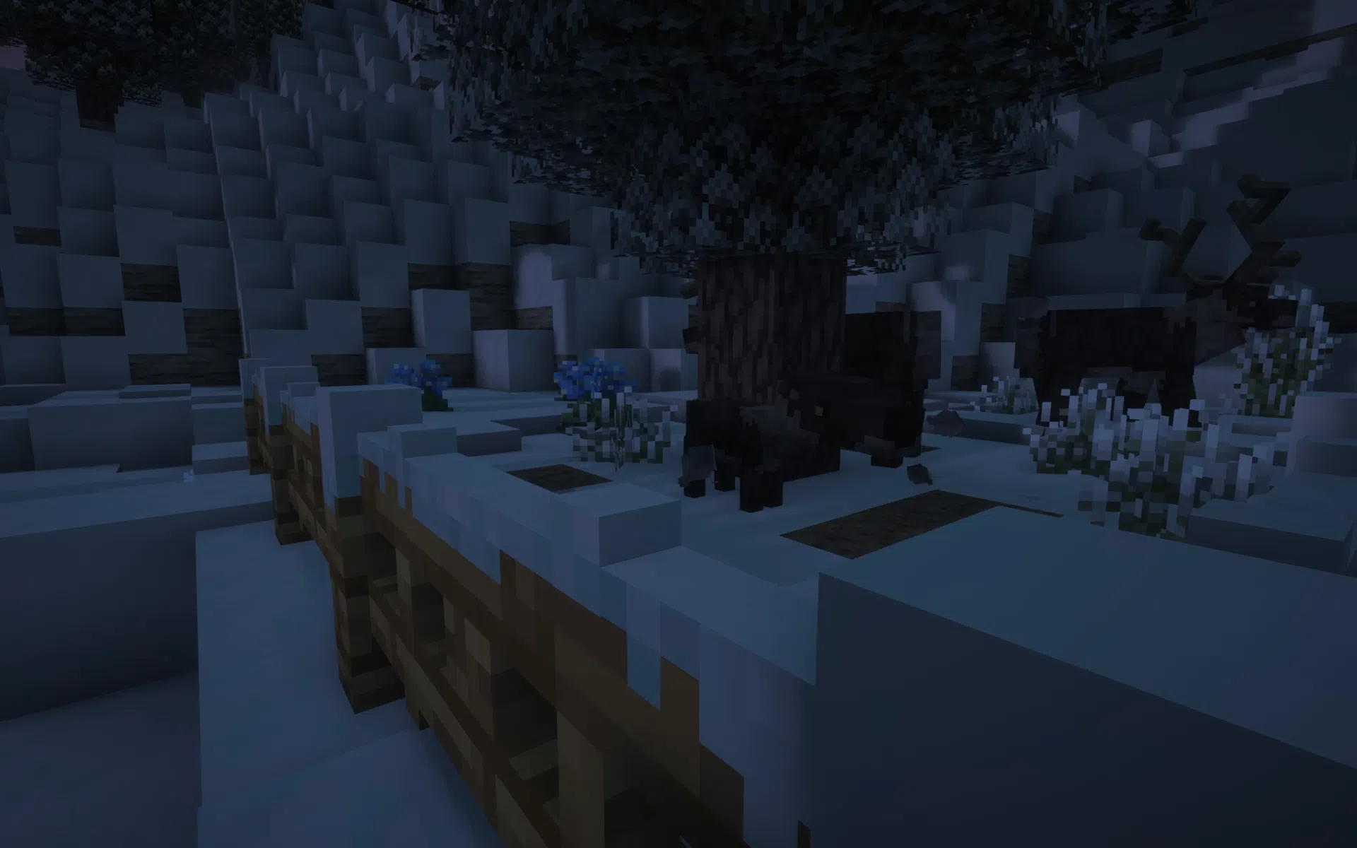 Wildlife sheltering under snowy trees